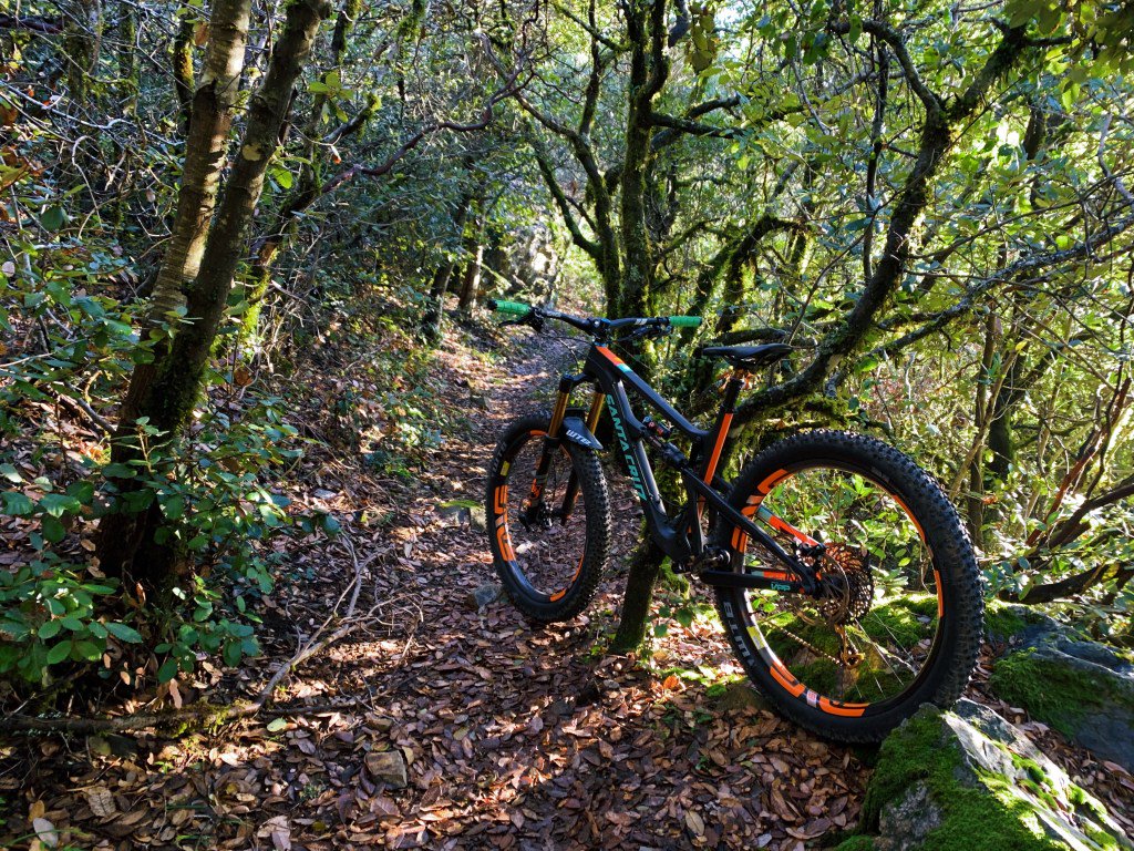 ElementlyBlog's tweet image. Mountain Bike Mayhem - element.ly/2019/02/mounta…