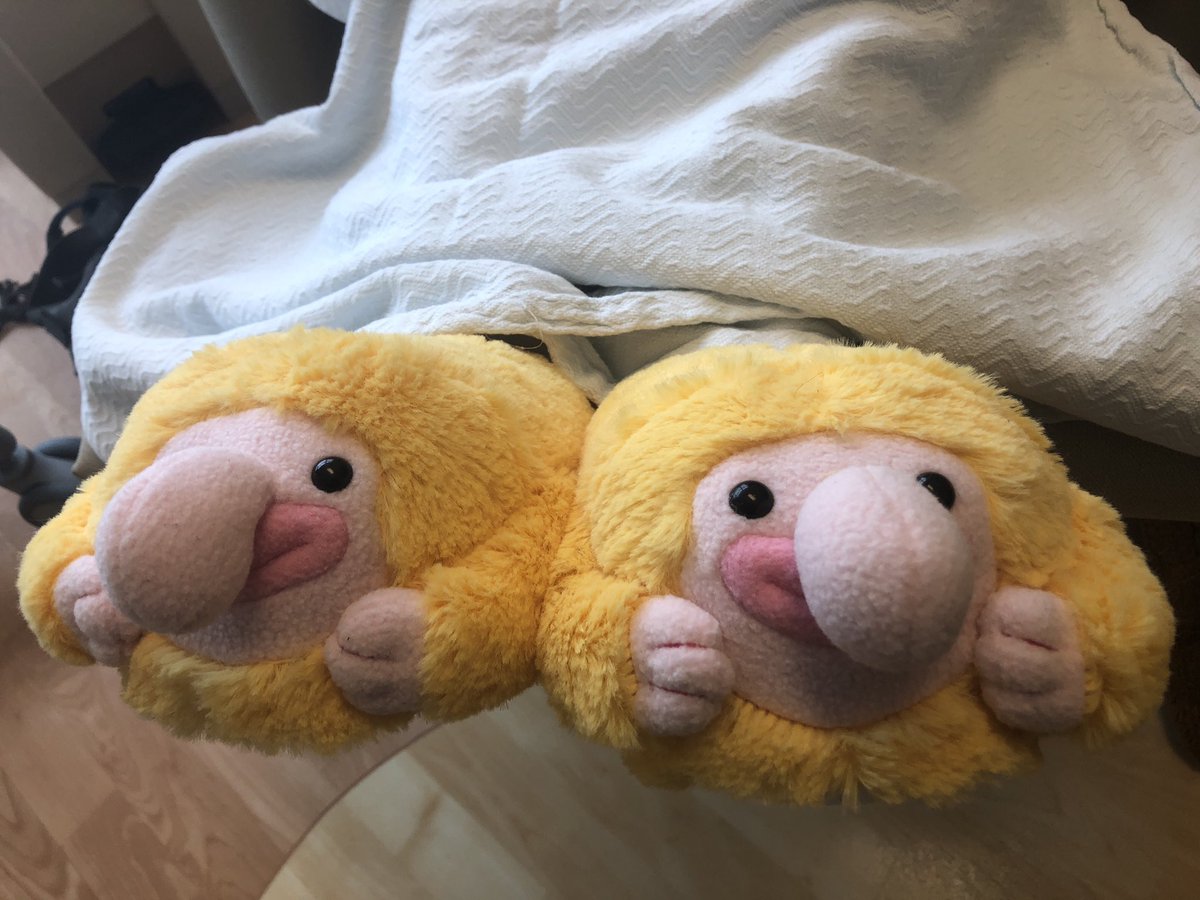 87. Back in Columbus for the final round of chemo (this time). Radiation treatment and possibly immunotherapy lie ahead. Nancy brought Pablo and slippers that look like Pablo (a gift from her daughter’s BF).