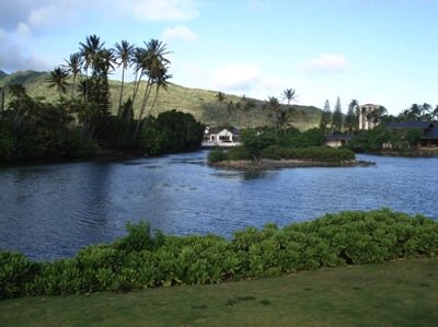 hawaiikaihui's tweet photo. A 1950s postcard (and other pics) via https://t.co/UV0CqcwFH6 for #MaunaluaMondays. Learn more about Kānewai Spring and the fishponds of #Maunalua/#HawaiiKai at https://t.co/UV0CqcwFH6 and on the FB page for the Maunalua Fishpond Heritage Center #MFHC https://t.co/8yFEpnw87k