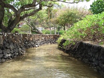 hawaiikaihui's tweet photo. A 1950s postcard (and other pics) via https://t.co/UV0CqcwFH6 for #MaunaluaMondays. Learn more about Kānewai Spring and the fishponds of #Maunalua/#HawaiiKai at https://t.co/UV0CqcwFH6 and on the FB page for the Maunalua Fishpond Heritage Center #MFHC https://t.co/8yFEpnw87k