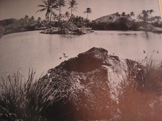 hawaiikaihui's tweet photo. A 1950s postcard (and other pics) via https://t.co/UV0CqcwFH6 for #MaunaluaMondays. Learn more about Kānewai Spring and the fishponds of #Maunalua/#HawaiiKai at https://t.co/UV0CqcwFH6 and on the FB page for the Maunalua Fishpond Heritage Center #MFHC https://t.co/8yFEpnw87k