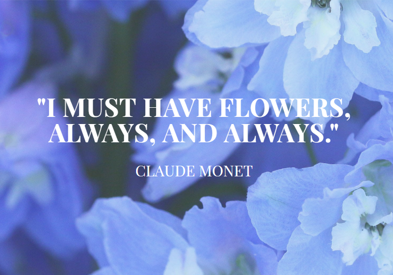 A new website is coming... Tune in tomorrow for a sneak peak 👀 #flowers #Website