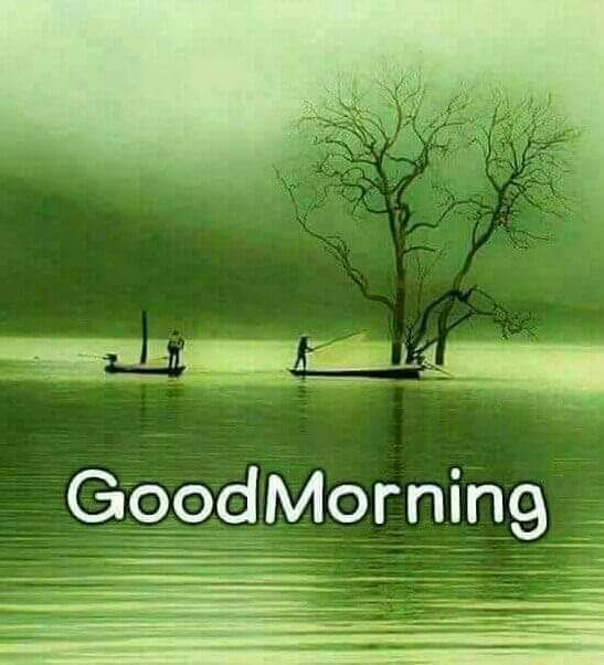 saanvikumar42's tweet image. To my all frnds