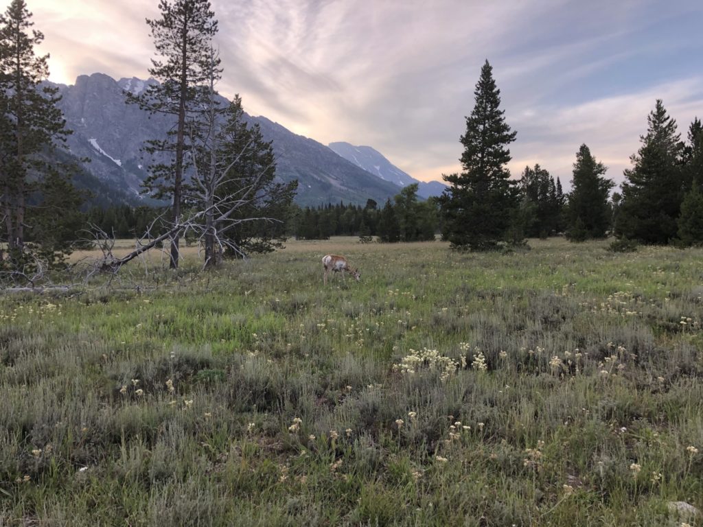 Goosewing Ranch tweet media