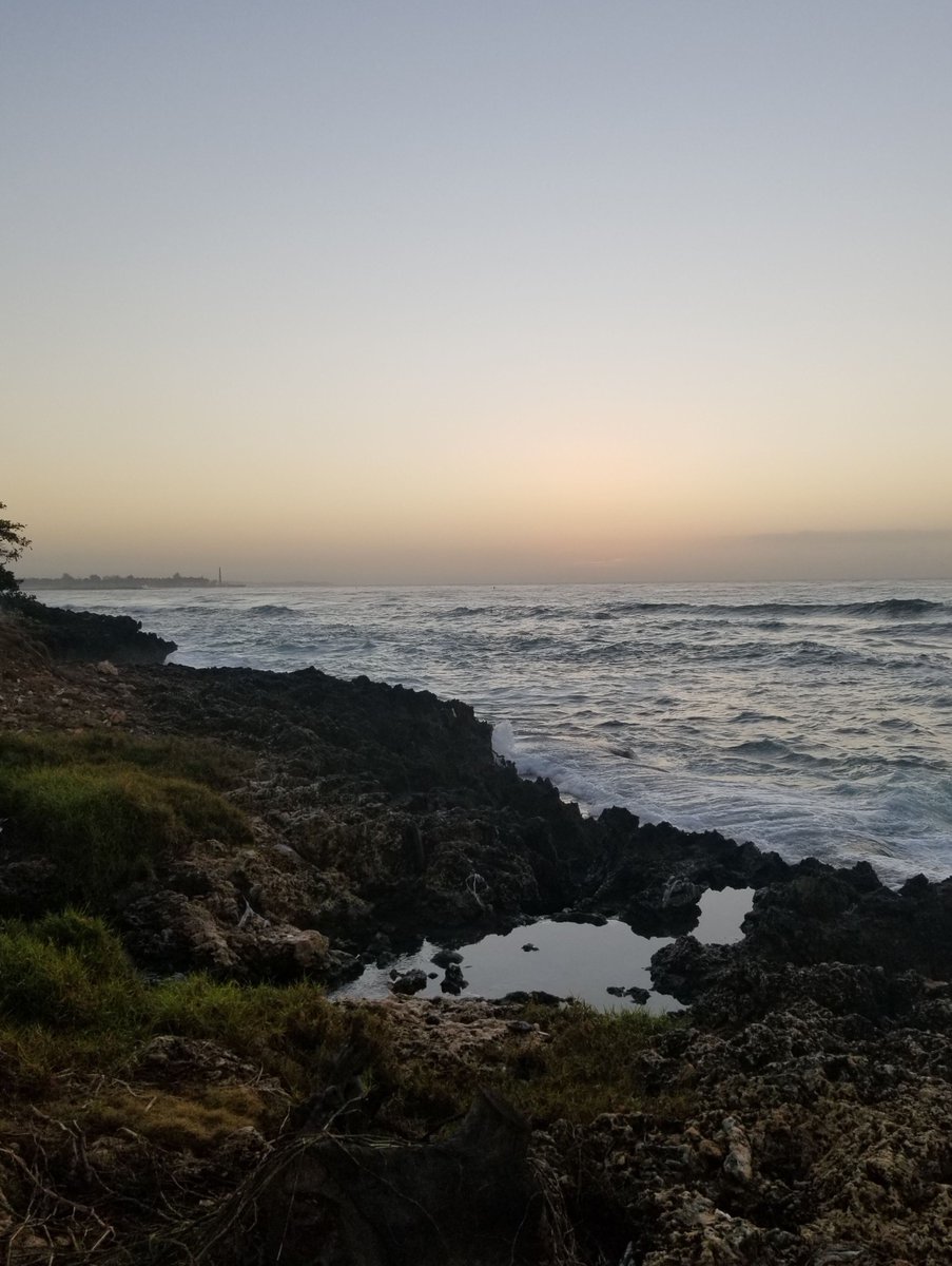 wiredferret's tweet photo. #PyCaribbean beach trip, a welcome day of warmth before I go on to the next thing.
Also, I went parasailing. It really was that awesome. https://t.co/pljVXILsUG