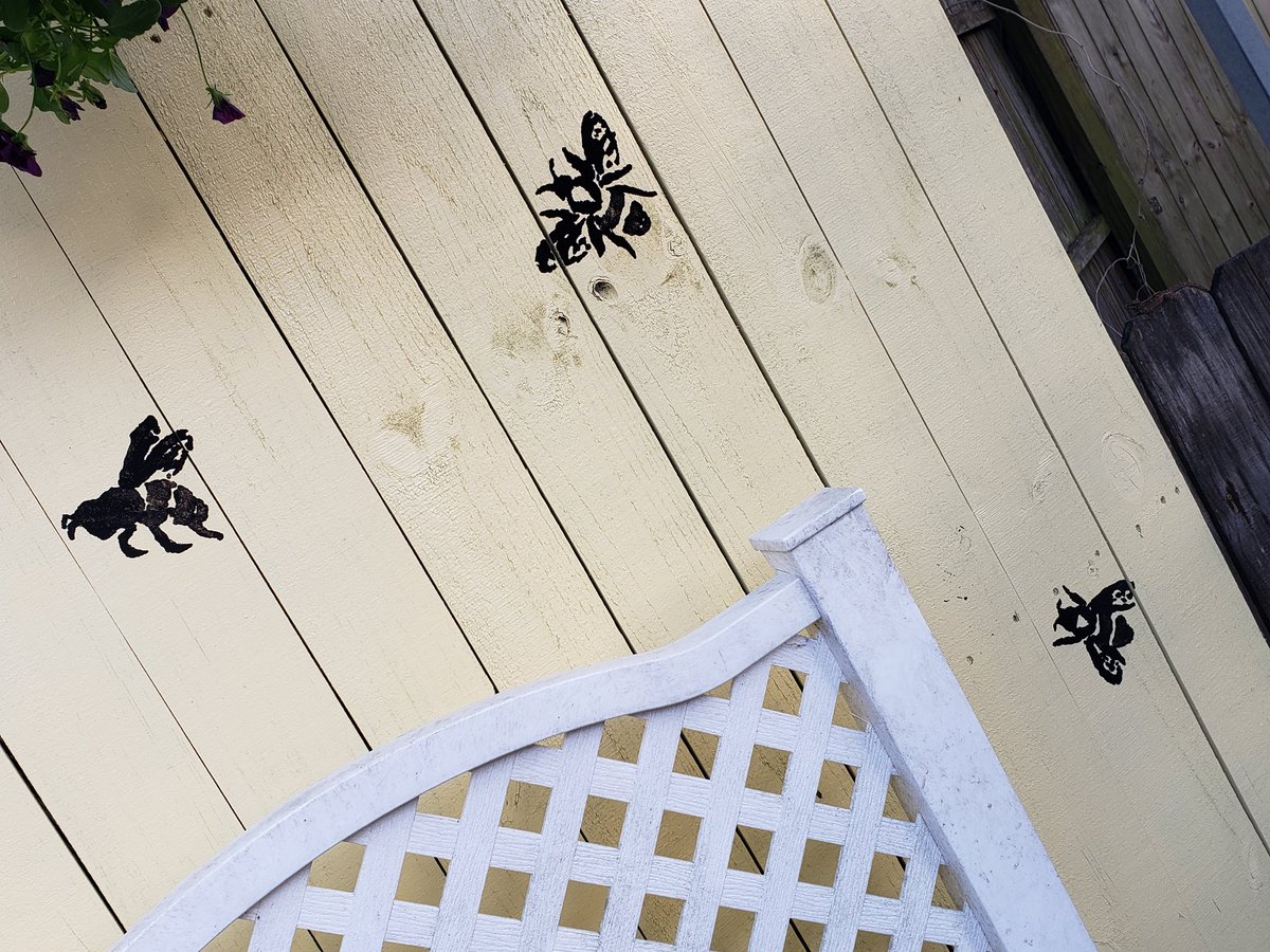 Cahillmomof6's tweet photo. My bee yard is coming together nicely. Can't wait to get my bees next month! #FindingMyHappyPlace #NewBeekeeper #FirstTimeBeeMom #SaveTheBees #HoneyBeesAreComing #SuperExcited https://t.co/IlCdvxWIXC