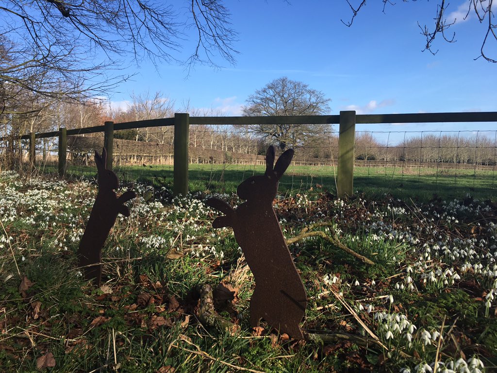 boltholefiley's tweet image. Burton Agnes near Driffield. Highly recommend the Snowdrop walk in the grounds.