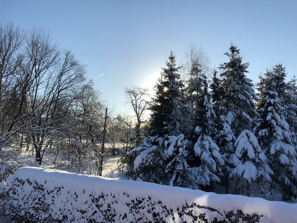 artanis06's tweet photo. hot chocolate weather 🍫☕️
#winter https://t.co/wSiGLfLT27