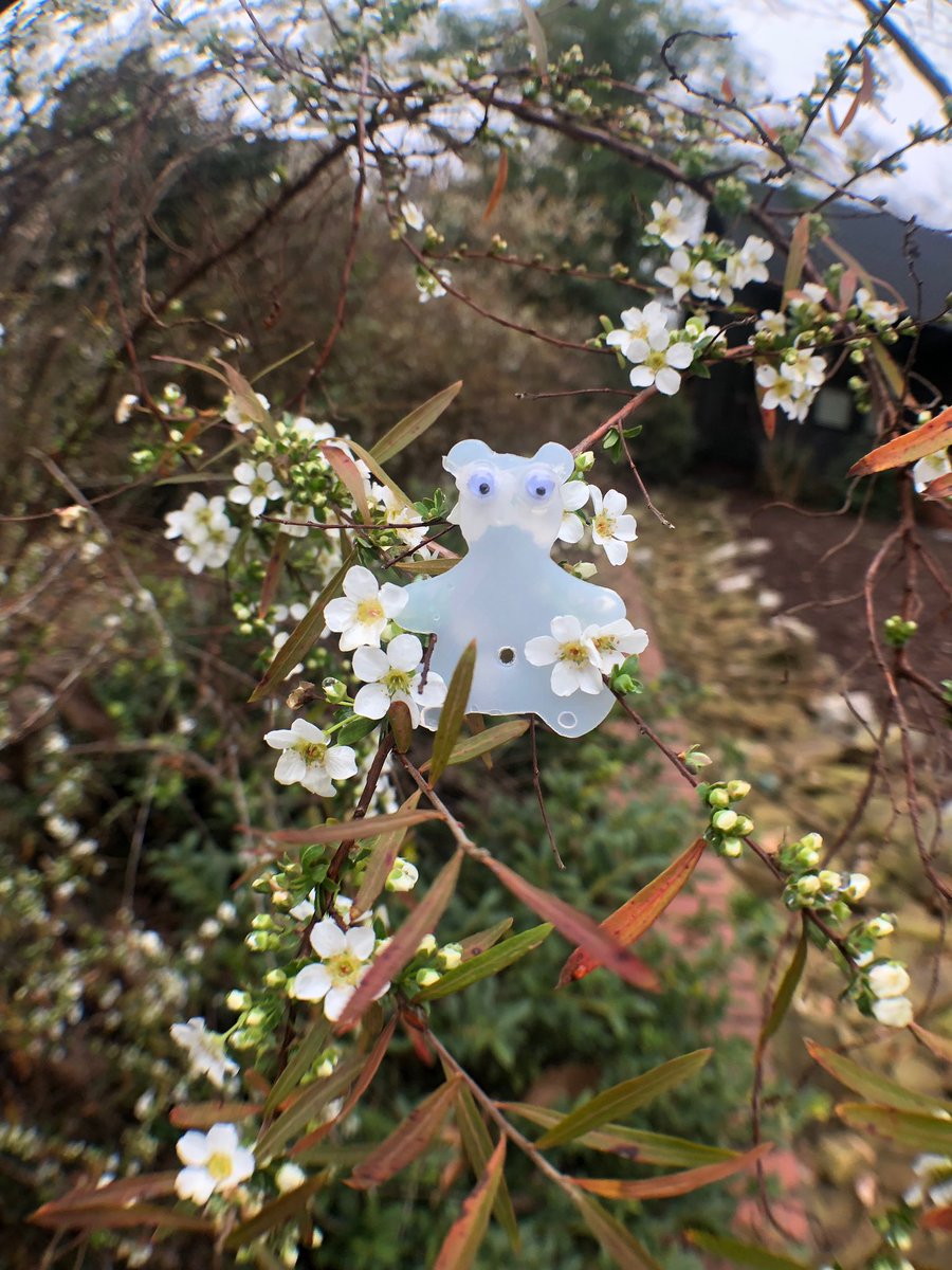 AShoeBearPlanet's tweet photo. Shoe Bear®️ with bridal wreath. Westview Drive. Athens, Georgia. #♻️ #Recycle #Reuse #GoGreen #GreenLiving #RecyclePlastic #ShoeBears #GooglyEyes #Flower #WhiteBloom #Spiraea #BridalWreath #Bloom #Plant #Shrub #SemiEvergreen https://t.co/qODZk1tiCi