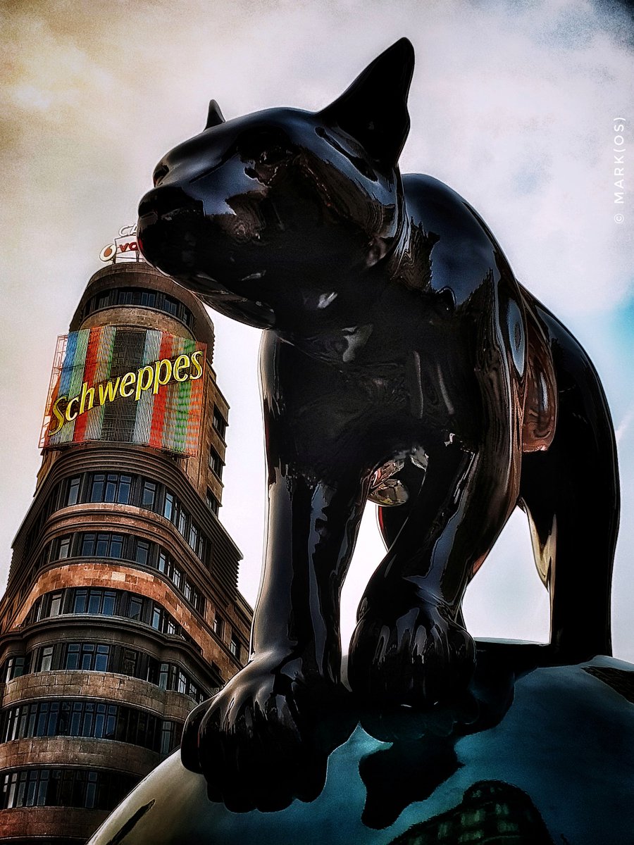 MisfotosdeMadri's tweet photo. ¡Buena suerte, Madrid!

Más fotos ➡️ https://t.co/nS0Cng3M3r

#Madrid #sabek @SwintonGallery @UrvanityArt @coolwaybrand #urvanityart #swintongallery #plazadelcallao #edificiocarrion #cinescallao #granviamadrid #demadridalcielo @madrid #spain #visitmadrid #visitspain https://t.co/FZjgEgbR5j