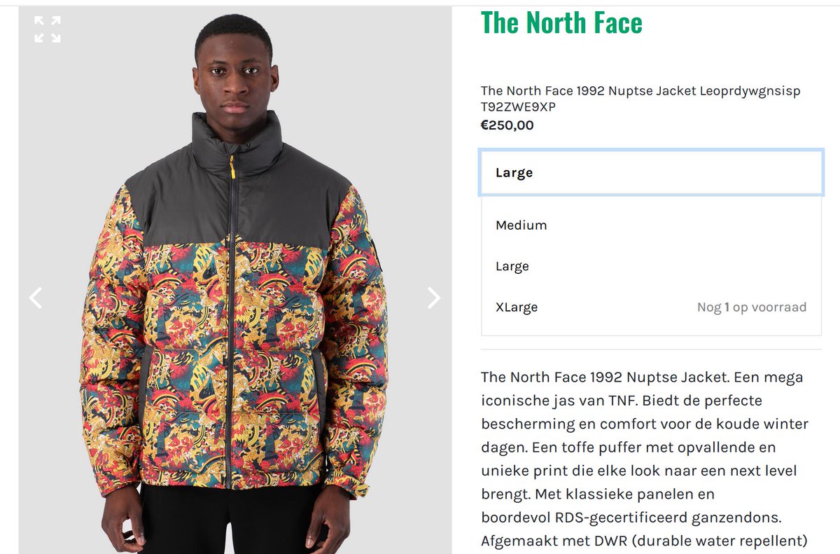 north face nuptse leopard