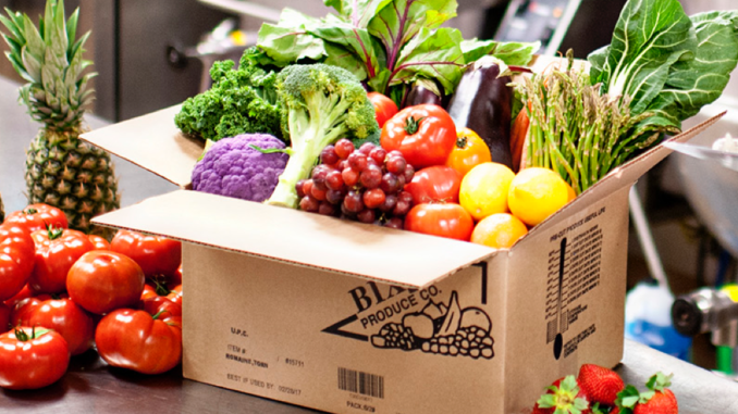 Fellow AI tweet media