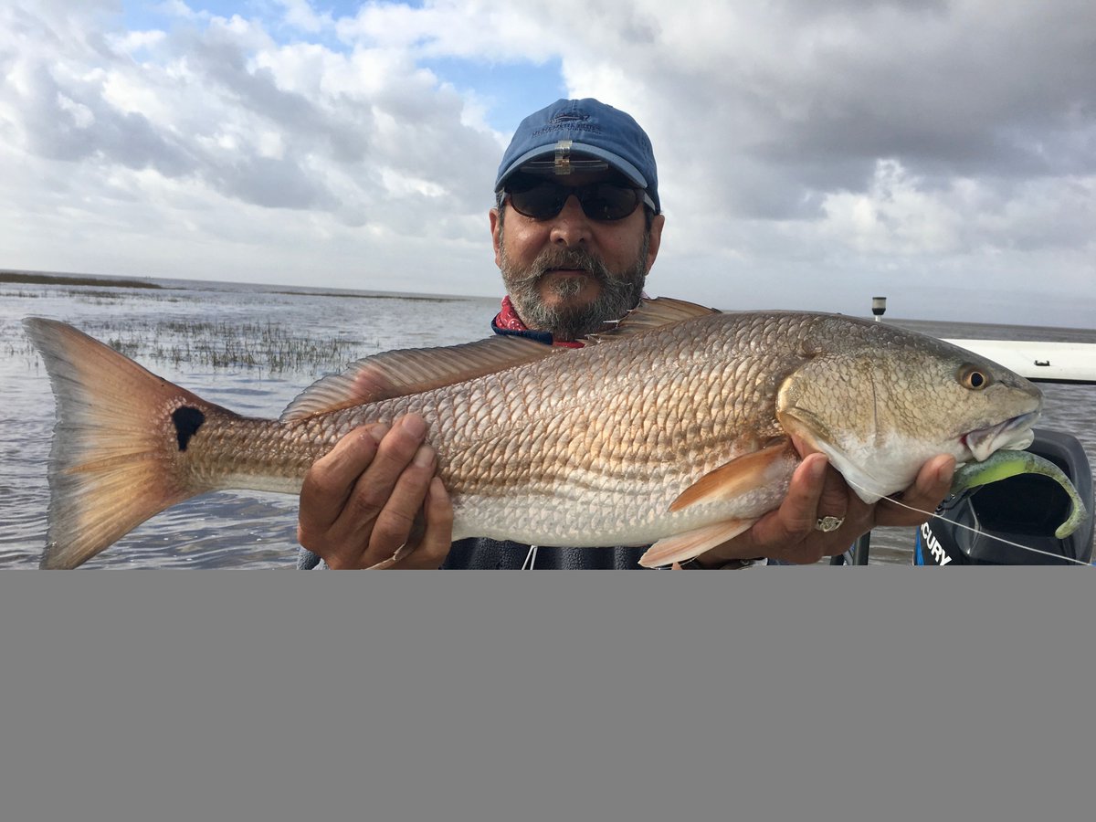 CharterHook's tweet image. Horseshoe Beach, FL - Redfish on Fire
Report with Captain Craig Spitznogle
🎣 bit.ly/spitznogle0218…
BOOK ONLINE 
👉 charterhook.com

#charterhook #horseshoe #beach #florida #redfish #zman #charterfishing #poweredbycaptains
