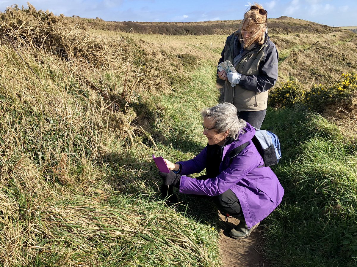 Adders are Amazing! tweet media
