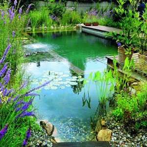 goinggreenspace's tweet photo. Brilliant Natural Swimming Pools https://t.co/MRBUPRgaPZ #greenliving, #greenproducts https://t.co/ZihingGG4c