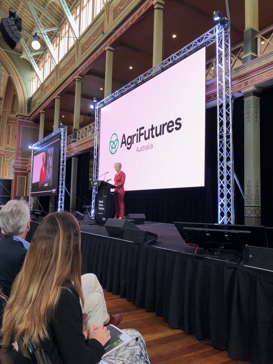 cass mao tweet media