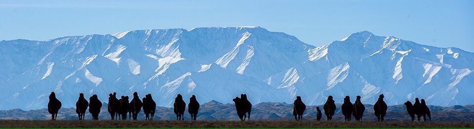 Өглөөн мэнд.Сайхан цаг ирлээ ирлээ.