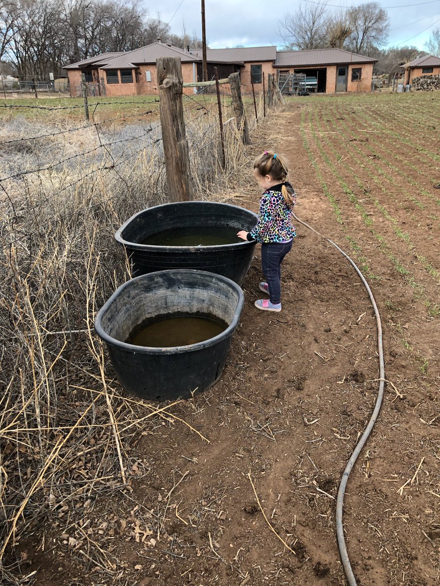 SamanthaKSutton's tweet photo. Teach them young to fill up the water https://t.co/eUbUM7Gvw6