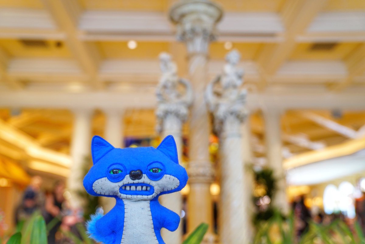 Toquestagrams's tweet photo. i made a new friend at the bellagio. he understood me. 🧧🐲 #toquestagrams https://t.co/tXuuQXt8Ro