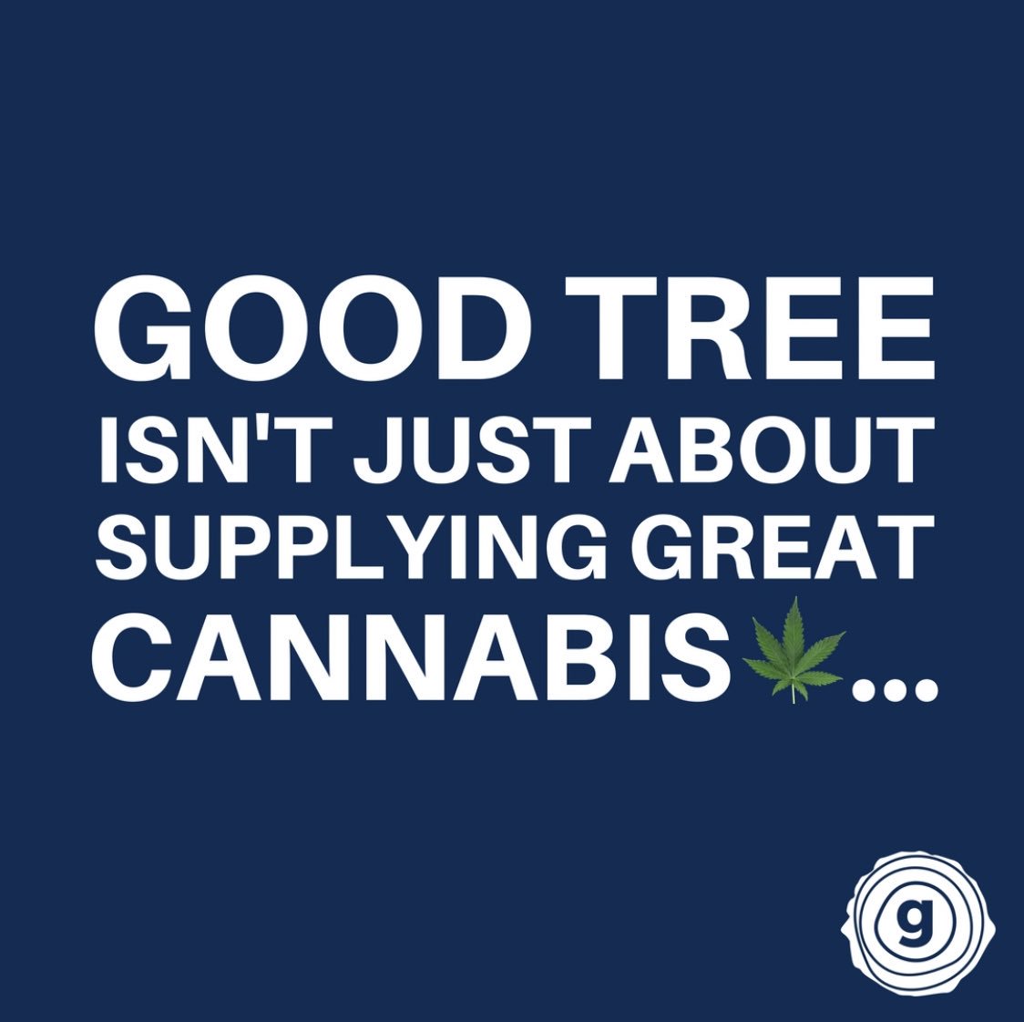 getgoodtree's tweet photo. Why should you follow Good Tree? 
#blackincannabis #follow4follow https://t.co/s13enGK9Eg