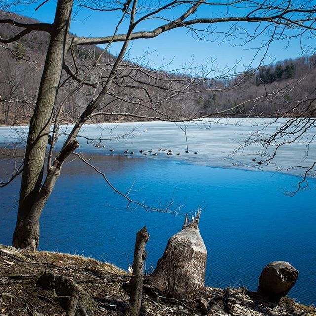 slemx's tweet photo. Mont-Saint-Hilaire, Quรฉbec #montsainthilaire #hiver #quebec #snow #winter #stephanelemieuxphotographe #lake #lac #naturephotography #nature #richelieuriver
#icyriver #reflection #colorreflection #myskynow
#monteregie #mountain #landscape_lovers #sky_captโฆ https://t.co/dV1LaWldDm https://t.co/nWGRIgPOZG