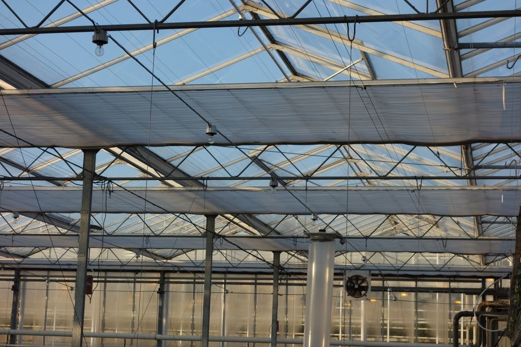 Grow_Save's tweet photo. Following a successful pilot study group project focused on Next Generation Growing (NGG), GrowSave led a workshop on 14 February 2019 to share some of the lessons learned. Read the full event write up here... https://t.co/rUa60vw5KJ https://t.co/mKoYi9JwiR
