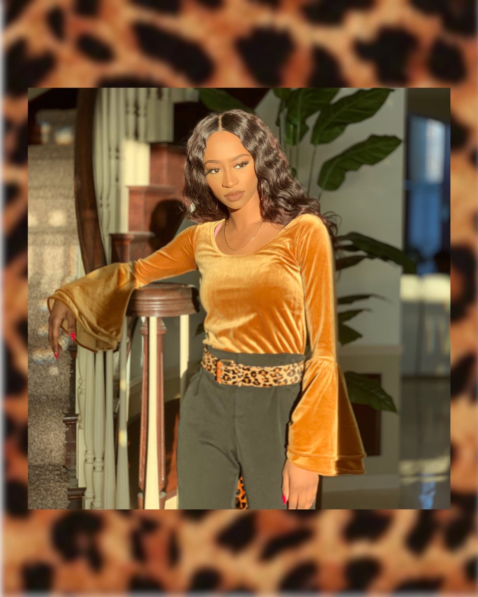 A Night In The Wild🌾