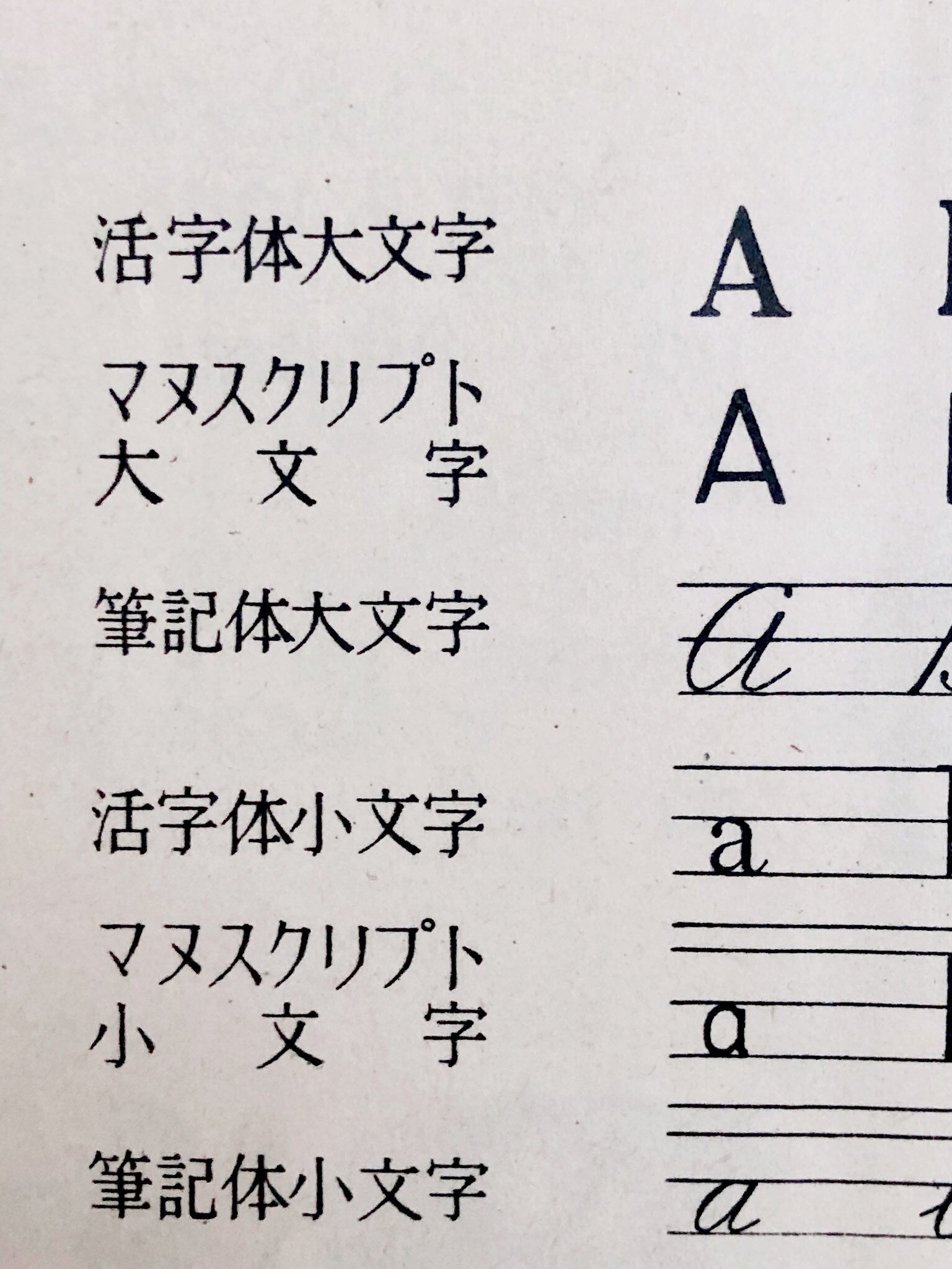 祖父江 慎 そぶえ しん おはようデザインさん 死語 昔はセリフ書体を 活字体 印刷書体 サンセリフ書体を マヌスクリプト 手書き文書 とか マヌ体 っていってたケロ ちなみにマヌ体のことを ブロック体 学習用筆記体 ともいい
