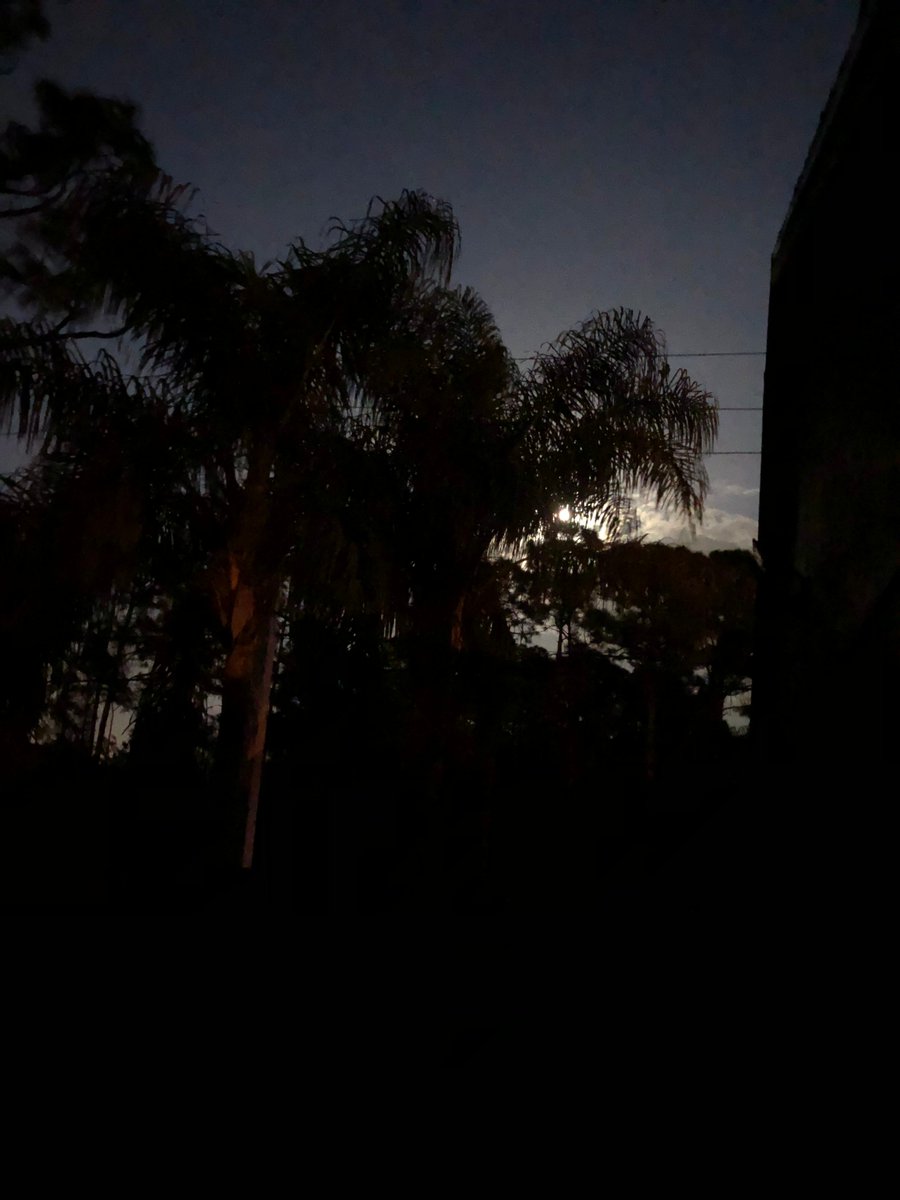 A beautiful evening in Florida! 
#tomfaucherpiano