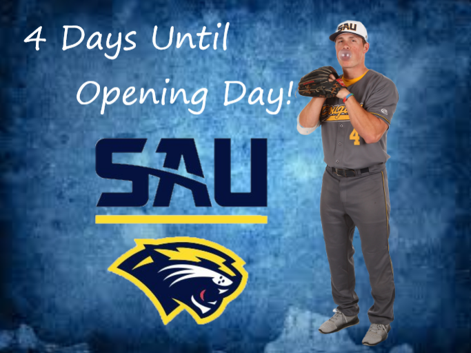 SAUCougarsBSB's tweet photo. @SAUCougarsBSB Senior OF Conner Lengerich Counts us Down... https://t.co/25xZb4BHp9