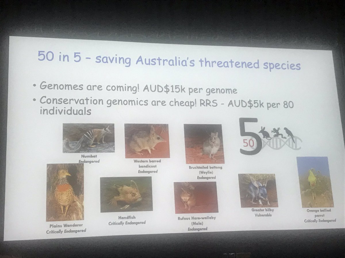 50 new genomes to be studied in next 5 years @KathyBelov #lornegenome
