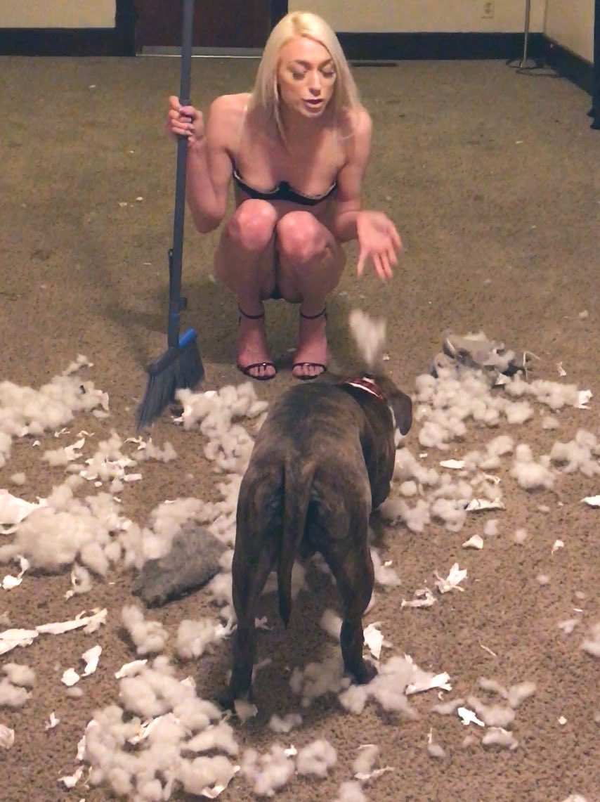 3 pic. https://t.co/f91wJJEoGE Me cleaning up my dogs stuffed teddy bear murder scene https://t.co/Jvav3q204x