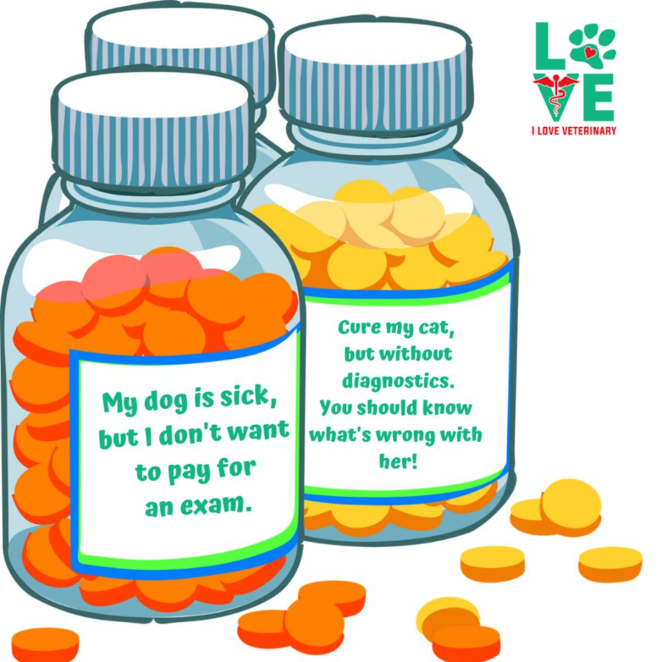 lovevetmed's tweet image. Do you have clients like these? :) 
Let's read your stories :) 

#veterinarymedicine #veterinaryhumor #dog #cat #pills #funny #laugh #iloveveterinary #lovevetmed