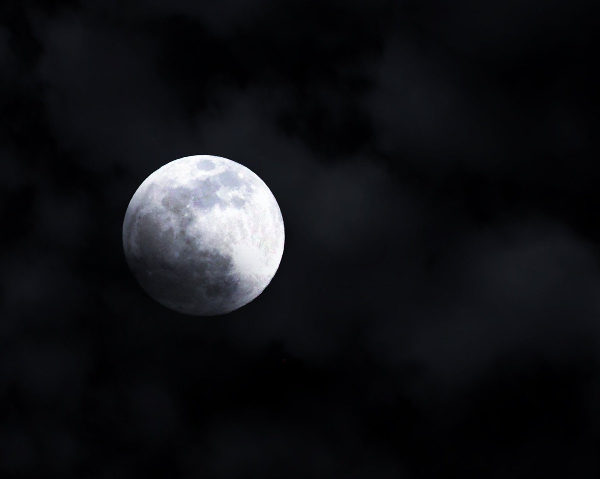 EansZero's tweet photo. SuperMoon2019🌑. .!
📸Shot with Canon Rebel T6
#Supermoon #Supermoon2019 https://t.co/UsxD6Q85IC