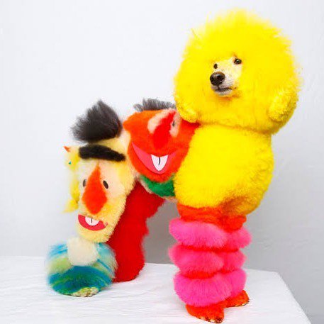 HEY POODLES! We are now open until 11pm EVERY NIGHT!! FABOOOOOO 🐩🌈🐩🌈🐩🌈
❤️
❤️
❤️
❤️
#catherineopson #rainbow #rainbowpooches #doggo #poodle #rainbowdildos #sexshop