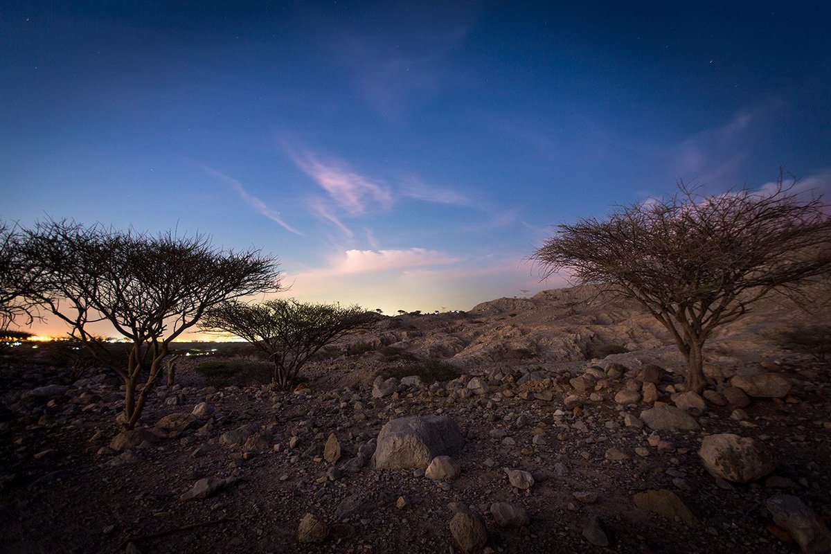 A photo from our recent adventure set in the picteresque Ras Al Khaimah. #OutwardBound #UAE #Outdoors #LearnStriveLead #RAK #MyDubai #Learn #Explore #Nature #Follow #Leadership #Adventure #Photo #Landscape