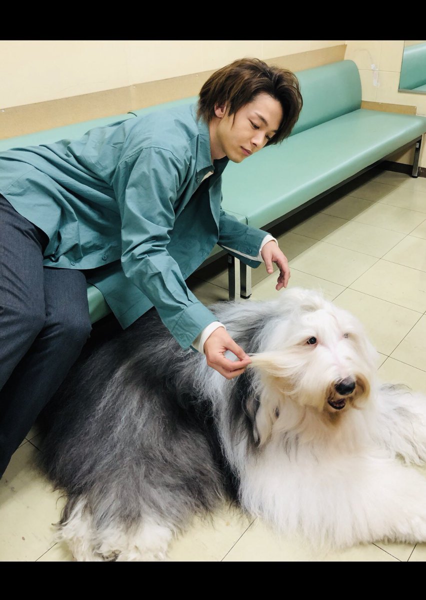 中村倫也が犬と戯れる姿に 最強でしかない 癒し とメロメロ 19年2月21日 エキサイトニュース