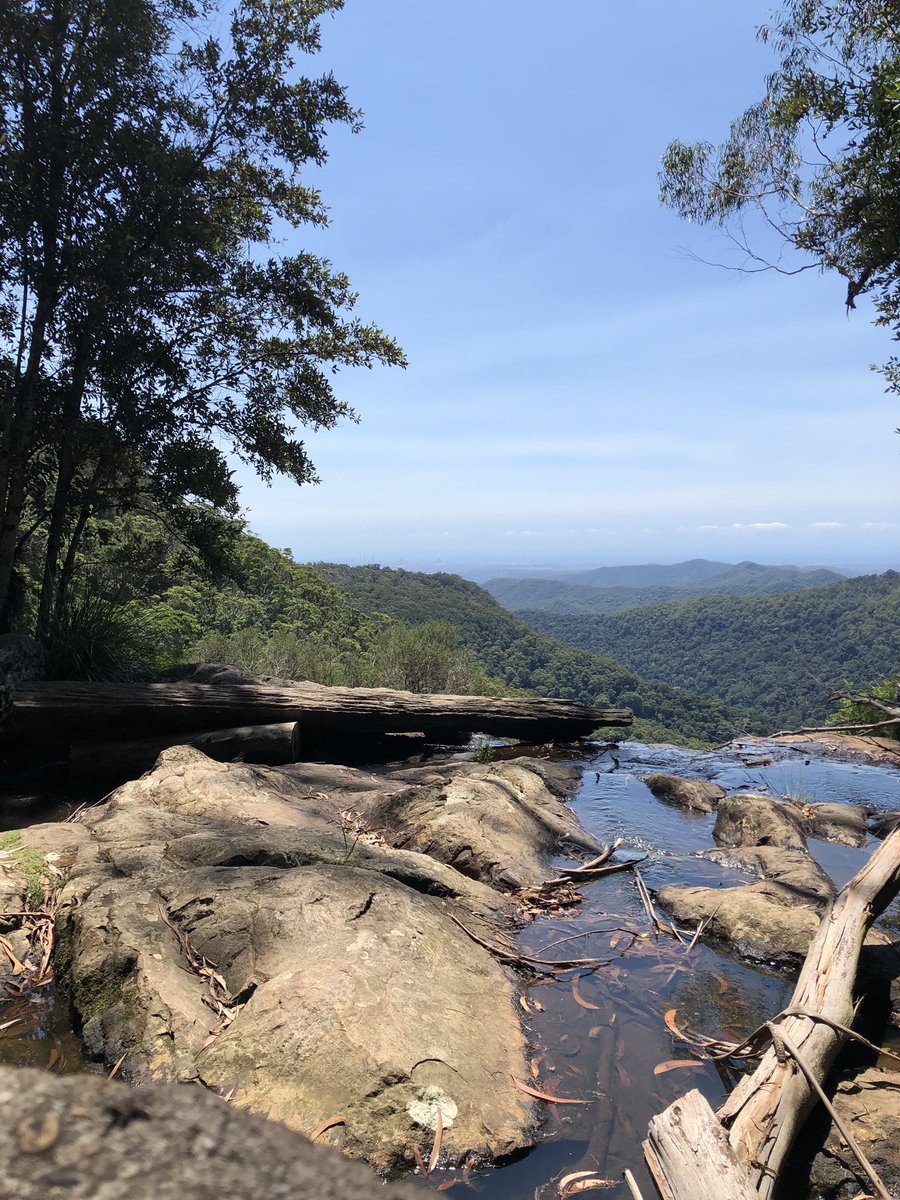 LittleD_oubleD's tweet photo. Also, 31 degrees C here today...just to let you know. Went on a 10k hike! https://t.co/ziXaCu1V30