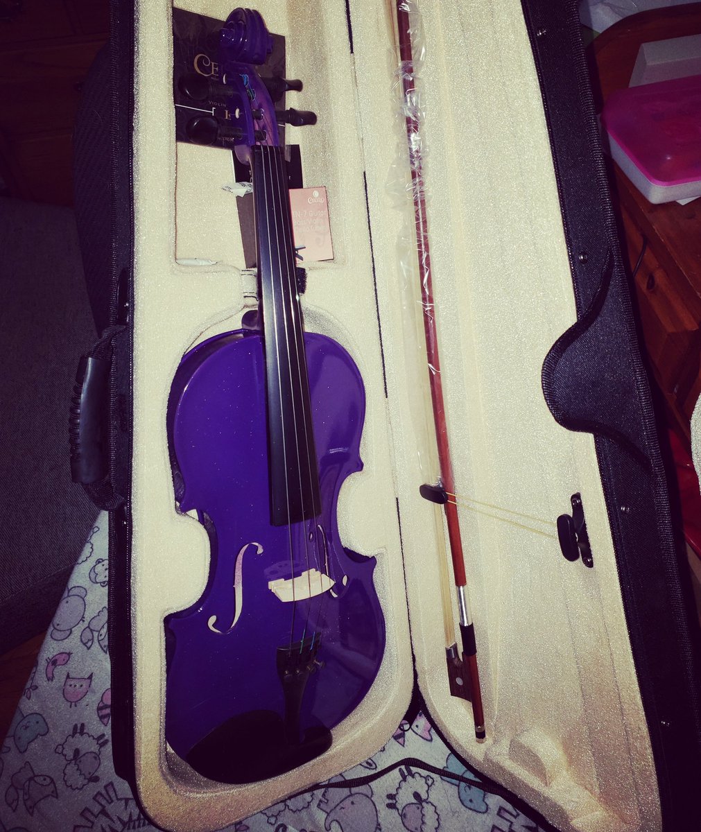 _HeatherBlair's tweet photo. My mom is so extra.   I mentioned I wanted to take violin lessons and a week later this showed up.  I've decided to call her Delta Dawn. #Violin #learningviolin #deltadawn https://t.co/W23qQUfTbg