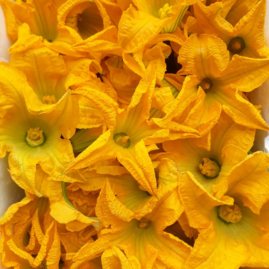 Jennifer Pryke tweet media