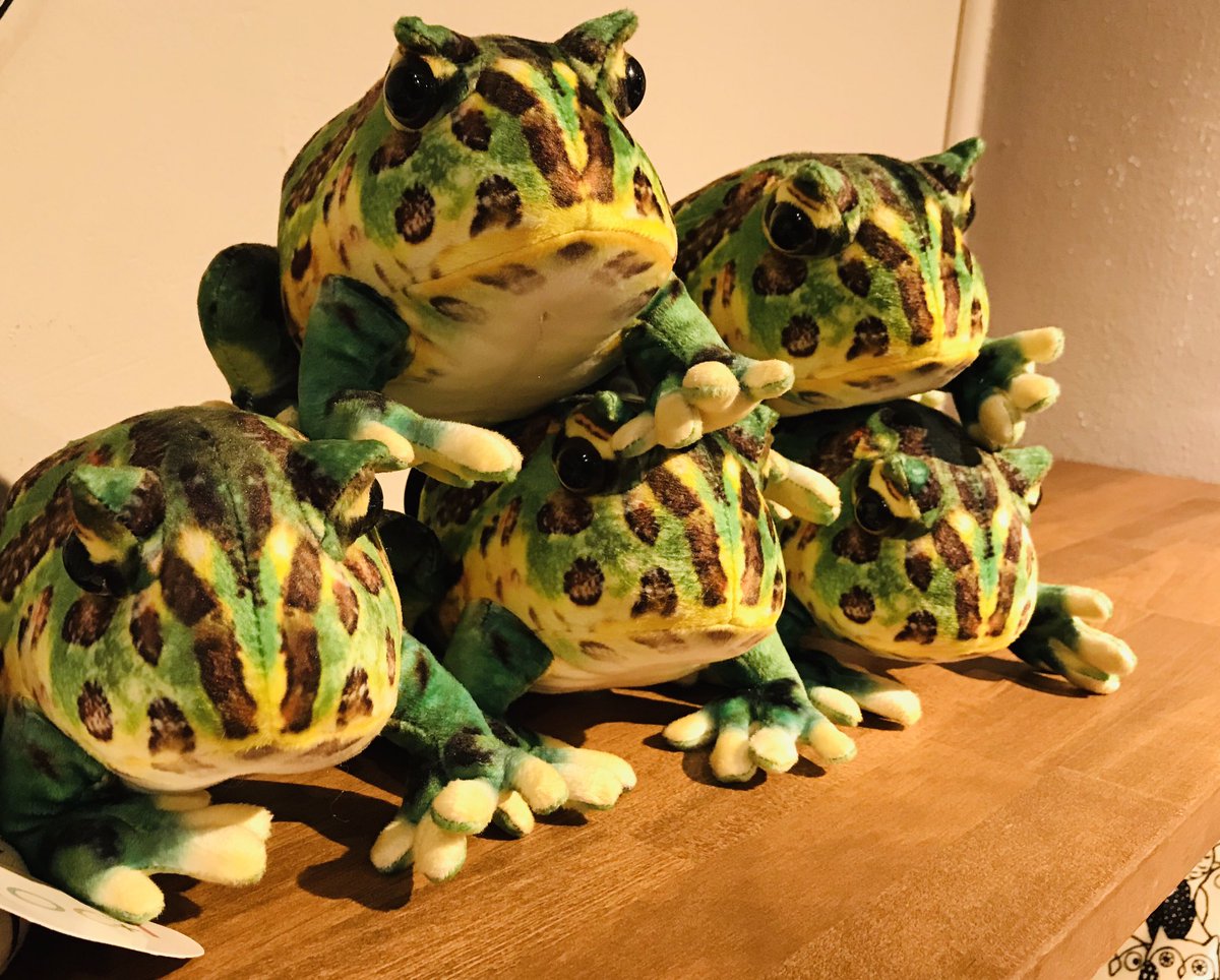 エキゾチックアニマル販売 Owl Wan アウルワン 大阪レプでも大人気炸裂の2日共に完売しました特殊な色やガラを再現し 柔らかさが共存したニュータイプのぬいぐるみ Wild Graphy 本日再入荷 明日も入荷予定 ベルツノガエル 1490円 イグアナ