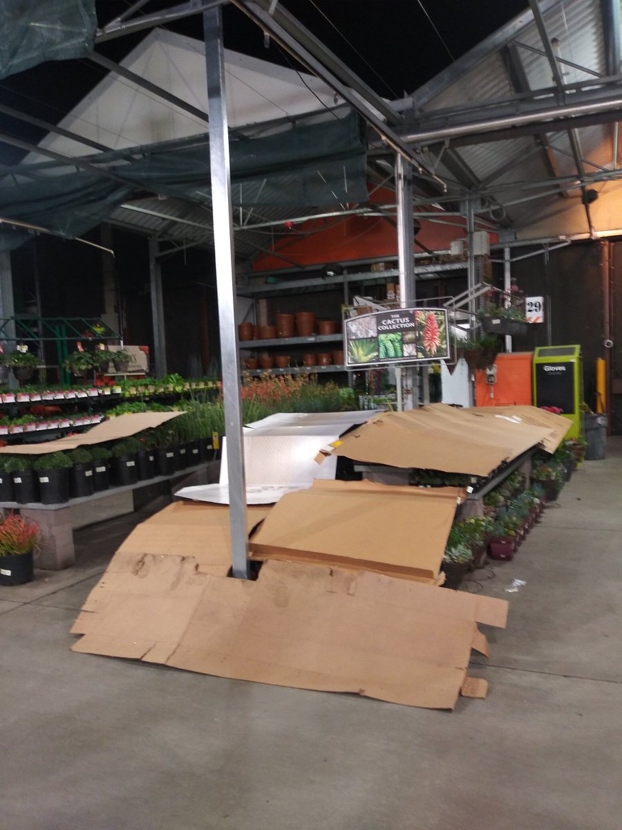 Phattonnyy's tweet photo. Prepping for the cold night #savetheplants #480love https://t.co/ICHH4huYXJ