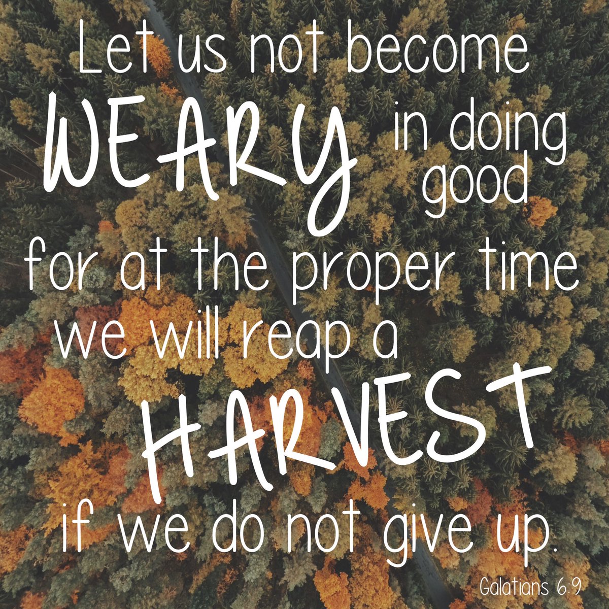 Be sure to join us this Friday morning at 8:00 in the auditorium as we wrap up our journey through Galatians. You won’t want to miss this! Be sure to Invite a friend to come with you...or two or three! See you Friday!