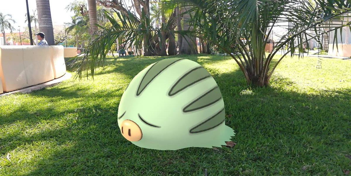 StarHunter_BVL's tweet photo. 16/02/2019 - Fotos con RA+ al primer cerdito shiny que apareció! ✨🐷📸😄🤩
#PokemonGOCommunityDay #MyShinyPokemon #Pokedex #ShinySwinub #CommunityDay #PokemonGOAR #GOsnapshot #PokemonGOContest #8BitCRGO https://t.co/KAUCIim0f9