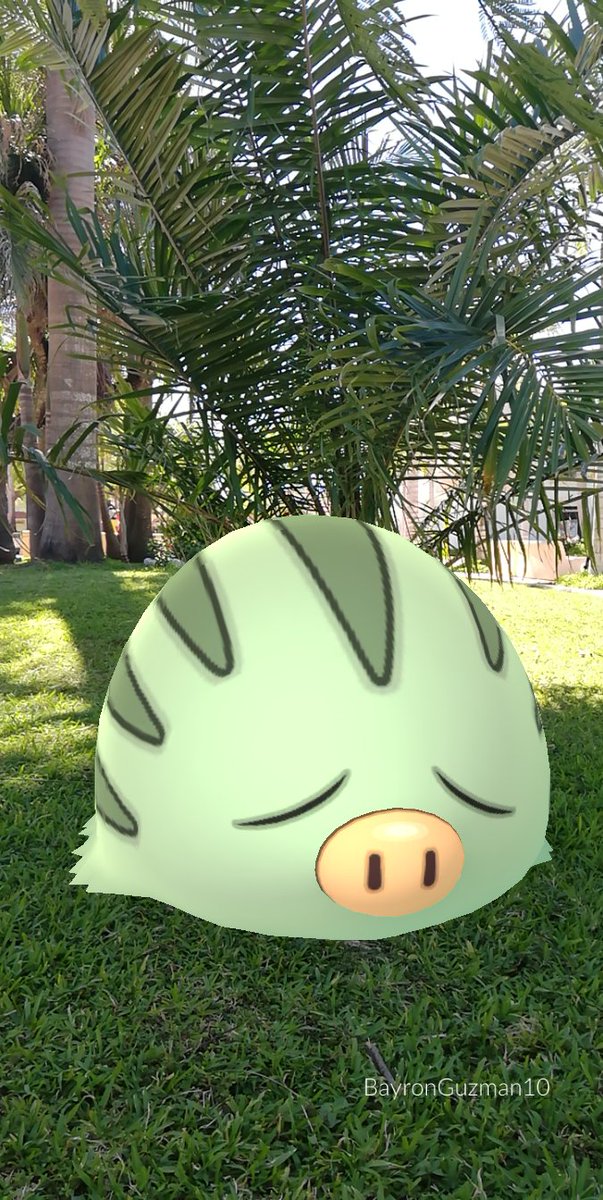 StarHunter_BVL's tweet photo. 16/02/2019 - Fotos con RA+ al primer cerdito shiny que apareció! ✨🐷📸😄🤩
#PokemonGOCommunityDay #MyShinyPokemon #Pokedex #ShinySwinub #CommunityDay #PokemonGOAR #GOsnapshot #PokemonGOContest #8BitCRGO https://t.co/KAUCIim0f9