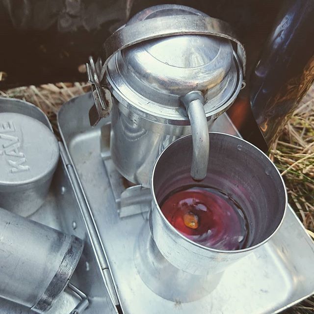 Robin Willig 🐩 tweet media