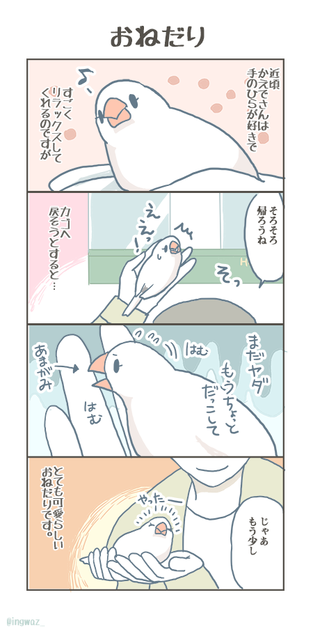 思わずうれしくなる ささやかなおねだりです。

#buncho #javasparrow #文鳥 
