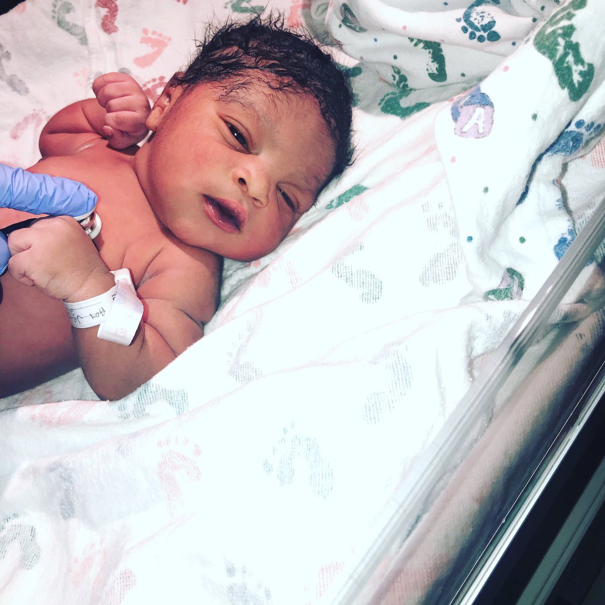 alishacooks_'s tweet photo. Meet Logan 💕 https://t.co/vJnFBNmLdM