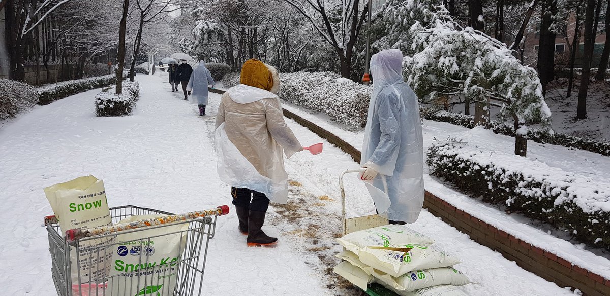 [수내2동은 제설도 열심히!]

새벽 세시부터 오후까지 하늘에 구멍이 난 것처럼 눈이 쏟아지고 있습니다~

금일 내린 폭설에 대응하기 위하여 수내2동(동장 김수연)에서는 눈삽, 염화칼슘 등 가용한 모든 자재와 인력을 동원하여 제설작업을 실시하였습니다^^

#성남시 #분당구 #수내2동