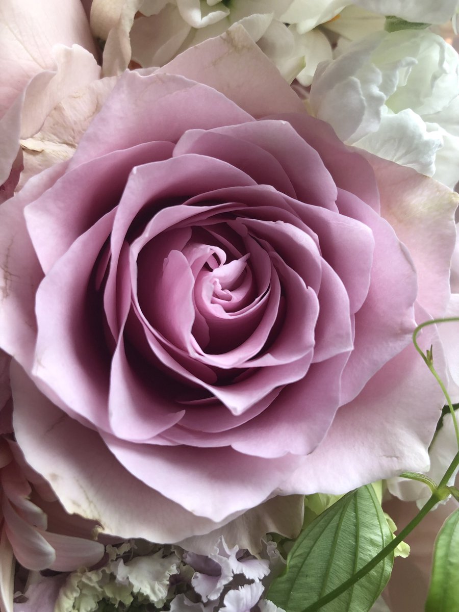 Flower 薔薇 リメンブランス 大人ピンク色の薔薇 白とピンクを基調でオレンジ色をアクセントに ３色以上のリクエストがあるときは 花の種類はもちろんだけど 彩度と分量のチョイスで仕上がりが変わるので意外と難しいのです